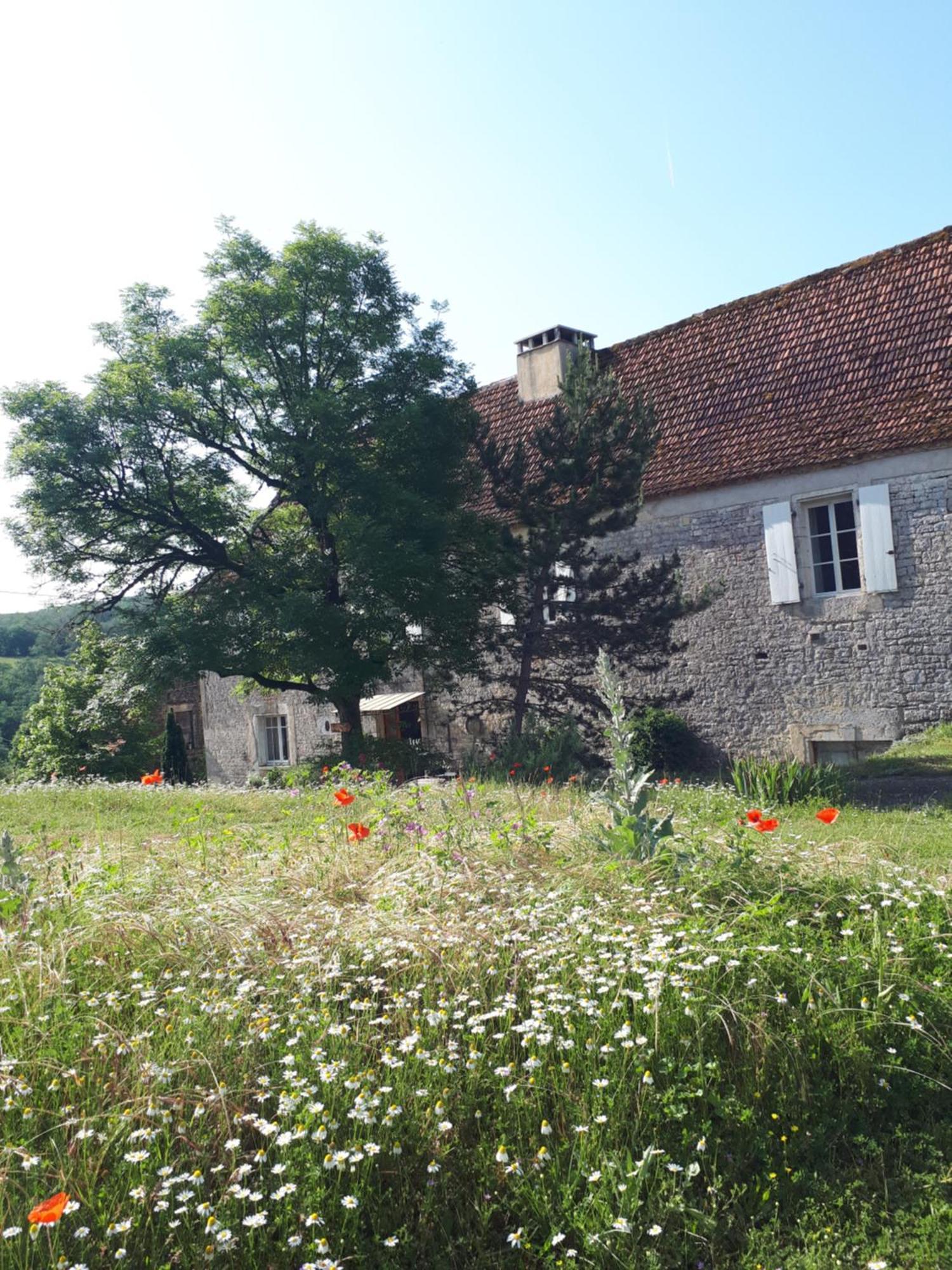 Hotel La Ferme De Roquedure Montfaucon  Zewnętrze zdjęcie